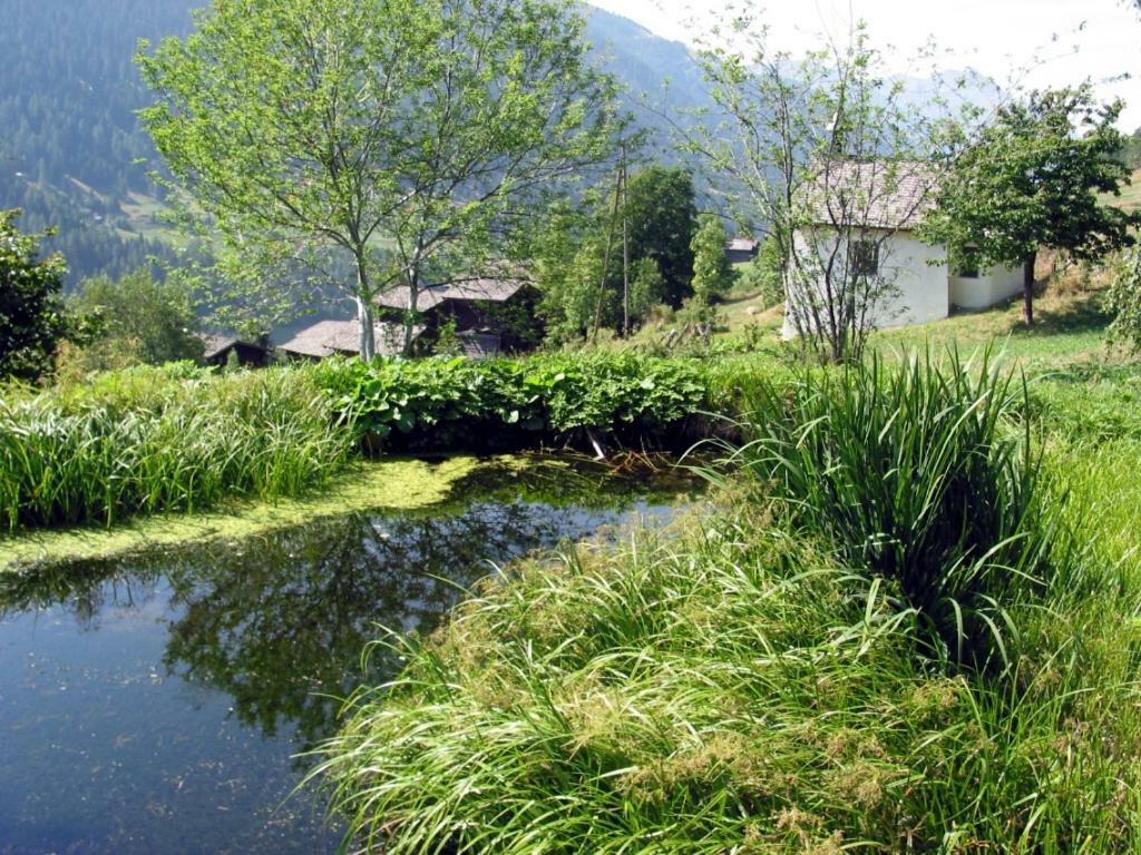 Haus Diezig Goms Esterno foto